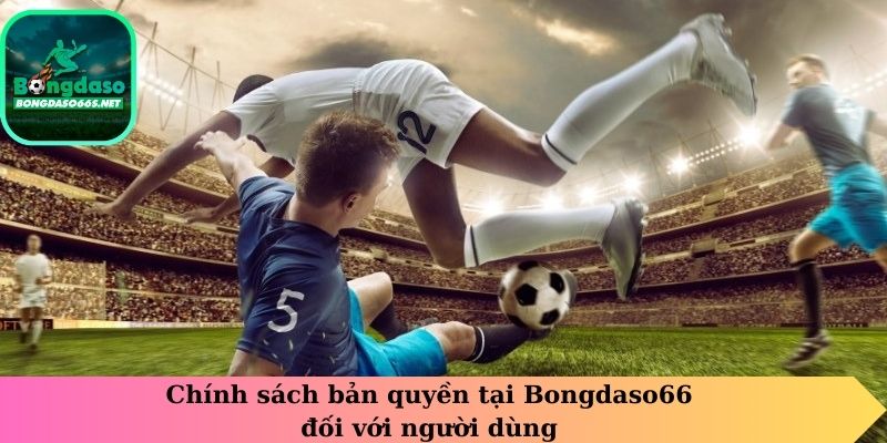 Chính sách bản quyền tại bongdaso66 đối với người dùng
