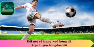 Đôi nét về trang web bóng đá trực tuyến bongdasso66