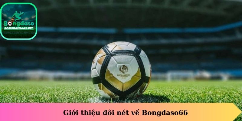 Giới thiệu đôi nét về Bongdaso66