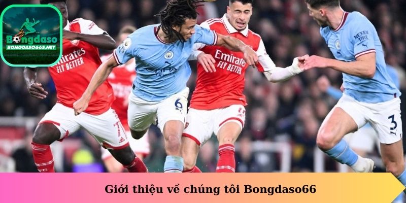 Giới thiệu về chúng tôi Bongdaso66