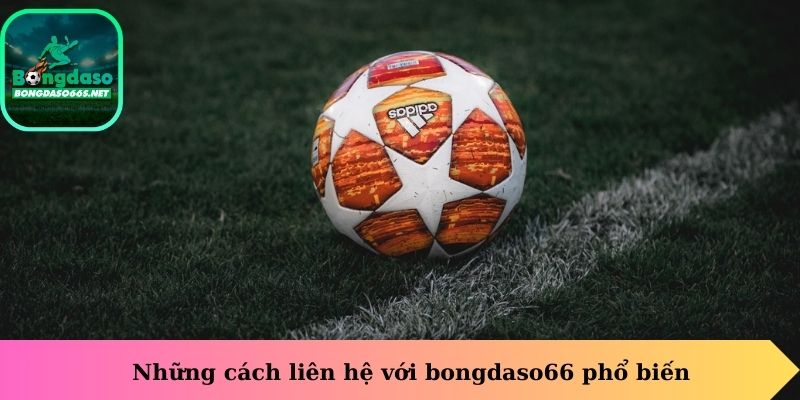 Những cách liên hệ chúng tôi với bongdaso66 phổ biến