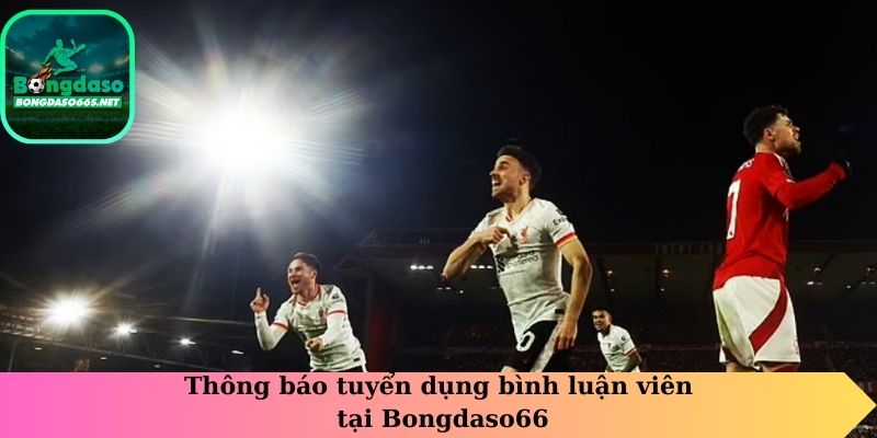 Thông báo tuyển dụng bình luận viên tại Bongdaso66