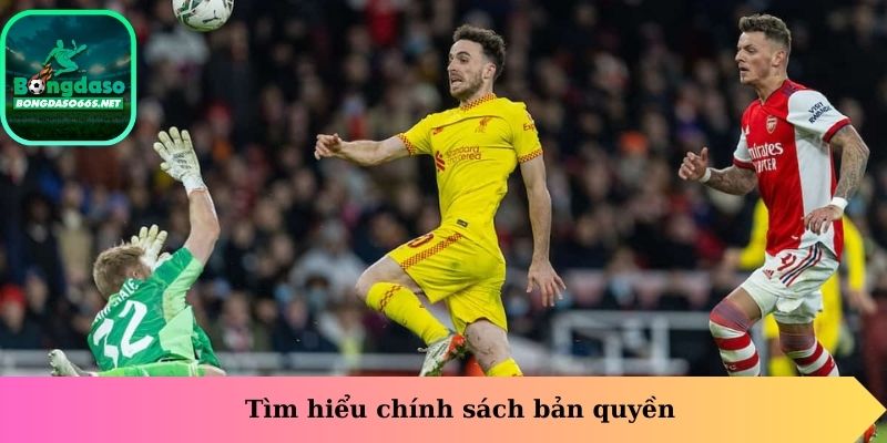 Tìm hiểu chính sách bản quyền