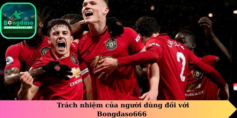 Trách nhiệm của người dùng đối với Bongdaso66