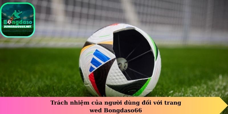 Trách nhiệm của người dùng đối với trang web Bongdaso66