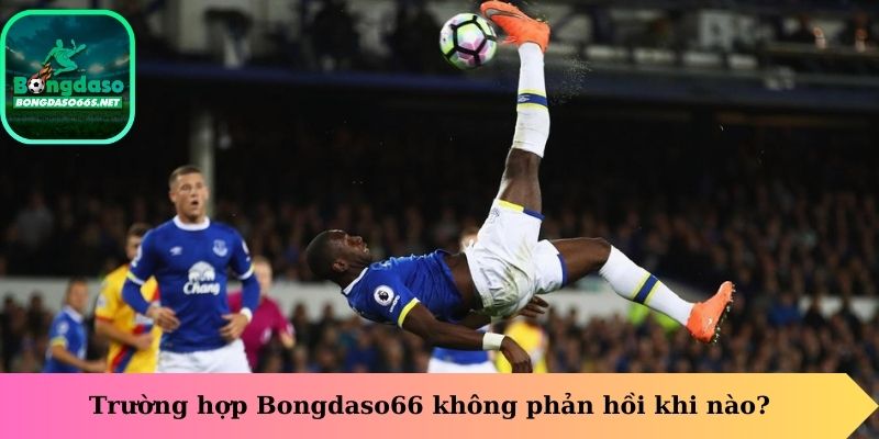 Trường hợp Bongdaso66 không phản hồi khi nào?