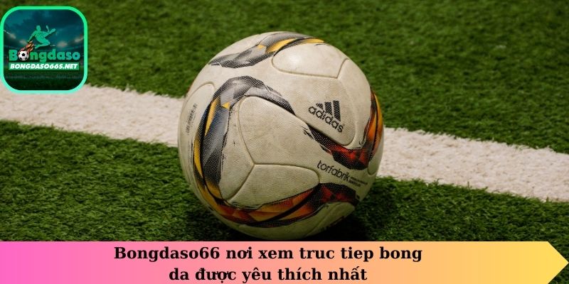 Bongdaso66 nơi xem truc tiep bong da được yêu thích nhất