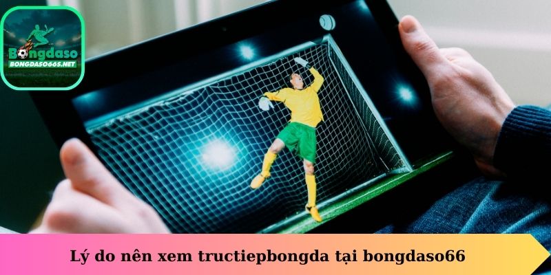 Lý do nên xem tructiepbongda tại bongdaso66