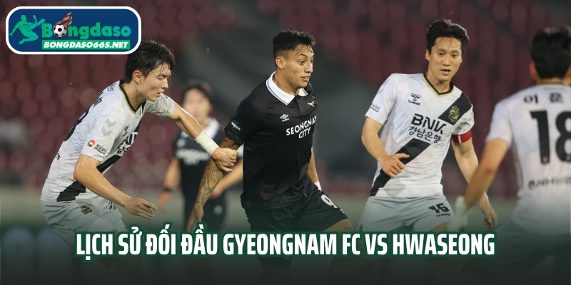 Lịch sử đối đầu Gyeongnam FC vs Hwaseong